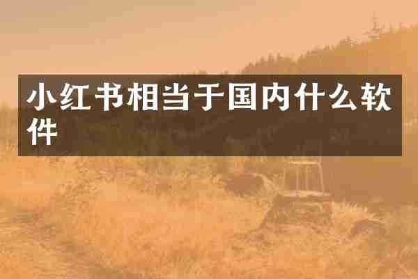 小红书相当于国内什么软件