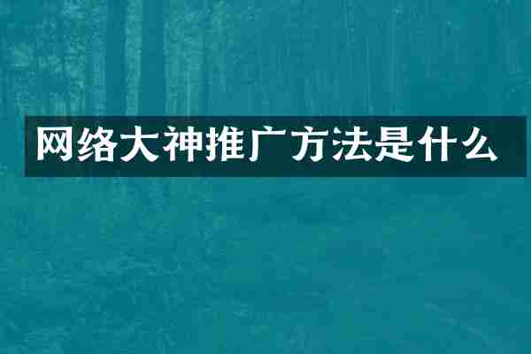网络大神推广方法是什么
