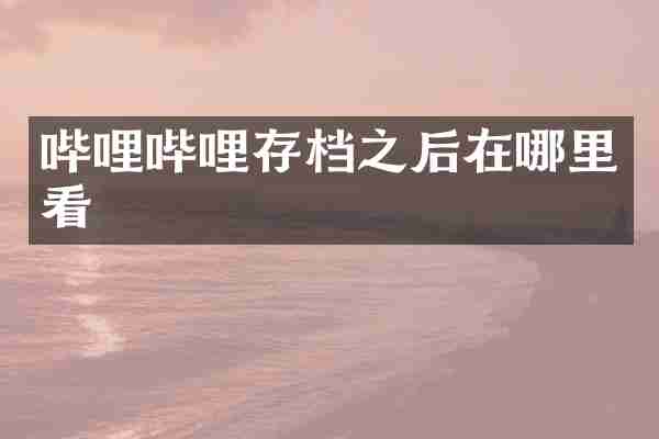 哔哩哔哩存档之后在哪里看