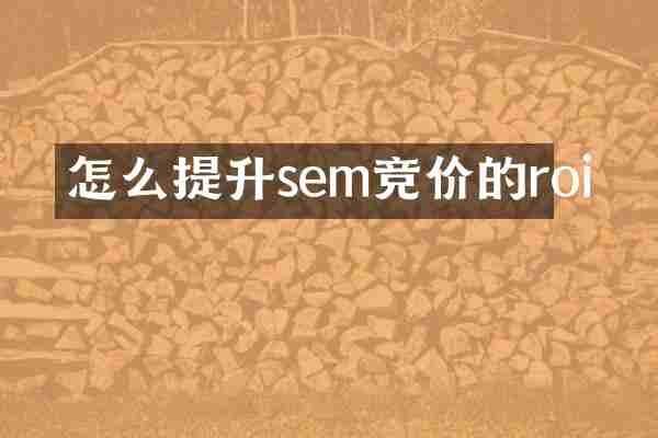 怎么提升sem竞价的roi