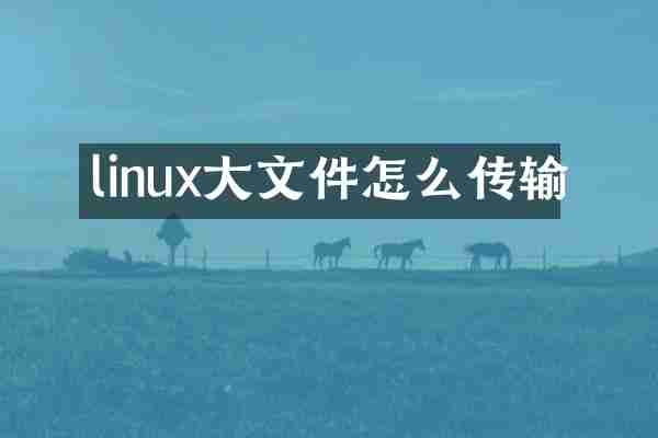 linux大文件怎么传输