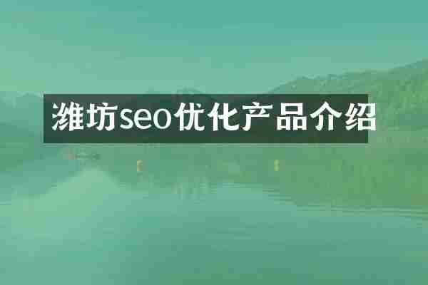 潍坊seo优化产品介绍