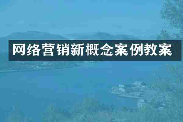 网络营销新概念案例教案