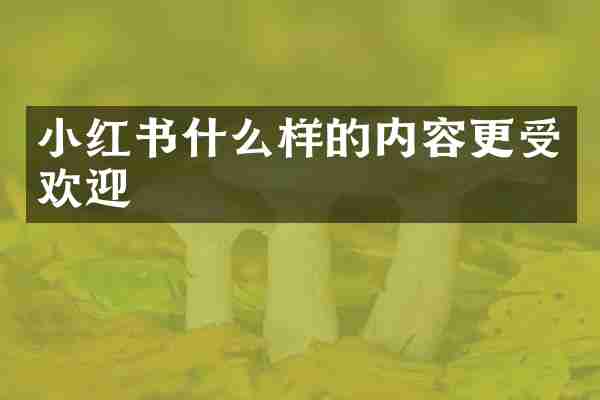 小红书什么样的内容更受欢迎