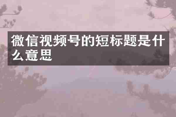 微信视频号的短标题是什么意思