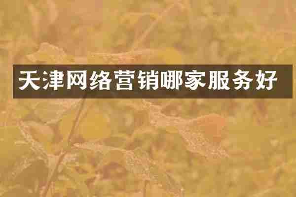 天津网络营销哪家服务好