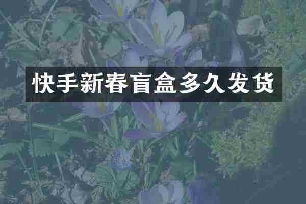 快手新春盲盒多久发货