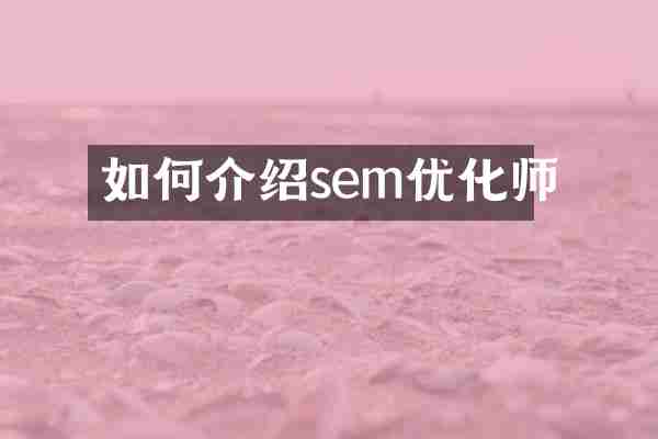 如何介绍sem优化师