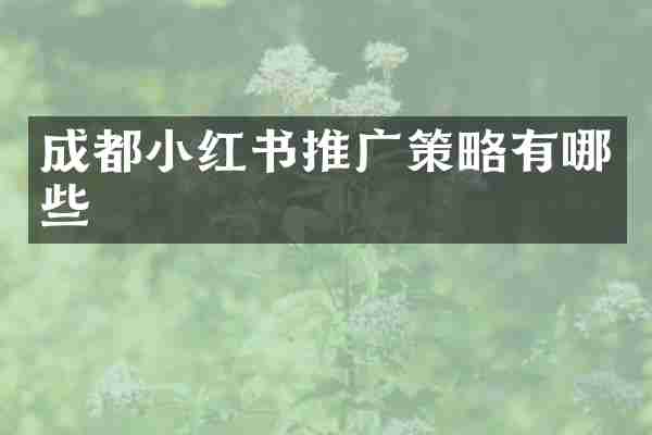 成都小红书推广策略有哪些