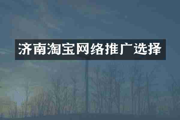 济南淘宝网络推广选择