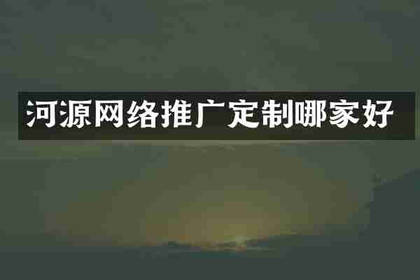 河源网络推广定制哪家好