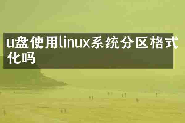 u盘使用linux系统分区格式化吗