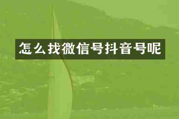 怎么找微信号抖音号呢