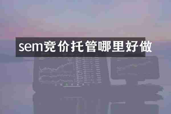 sem竞价托管哪里好做