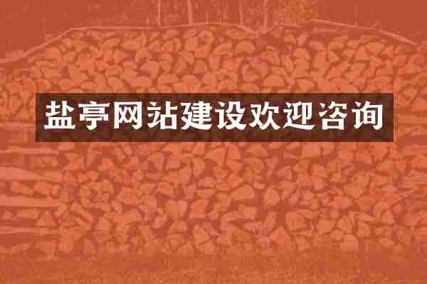 盐亭网站建设欢迎咨询