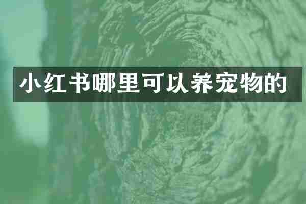 小红书哪里可以养宠物的