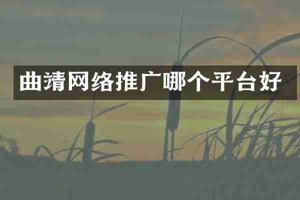 曲靖网络推广哪个平台好