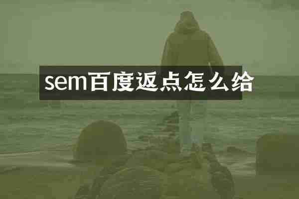 sem百度返点怎么给