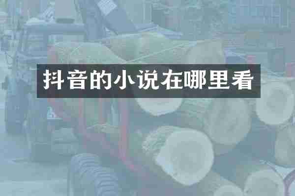 抖音的小说在哪里看