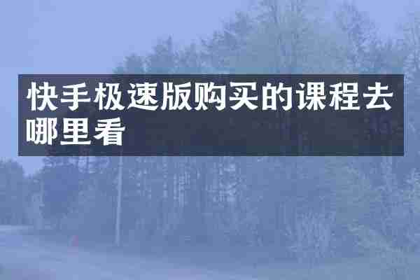 快手极速版购买的课程去哪里看