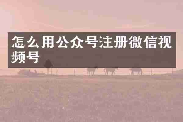 怎么用公众号注册微信视频号