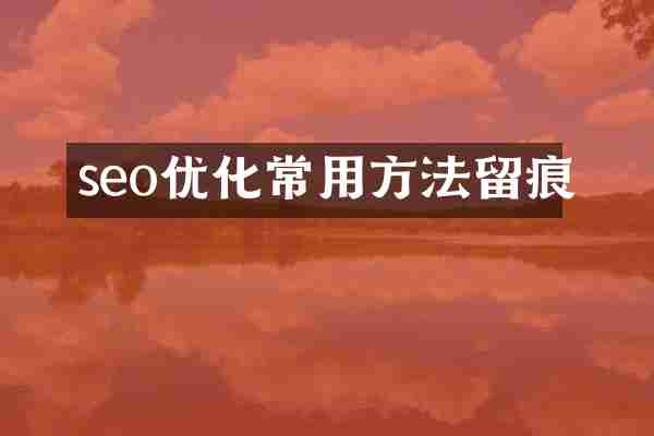 seo优化常用方法留痕