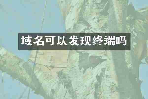 域名可以发现终端吗