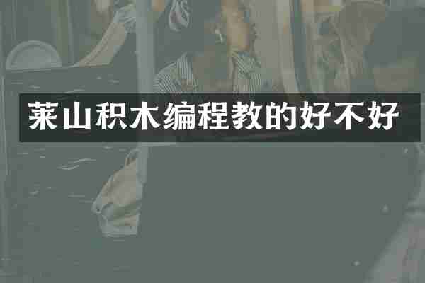 莱山积木编程教的好不好