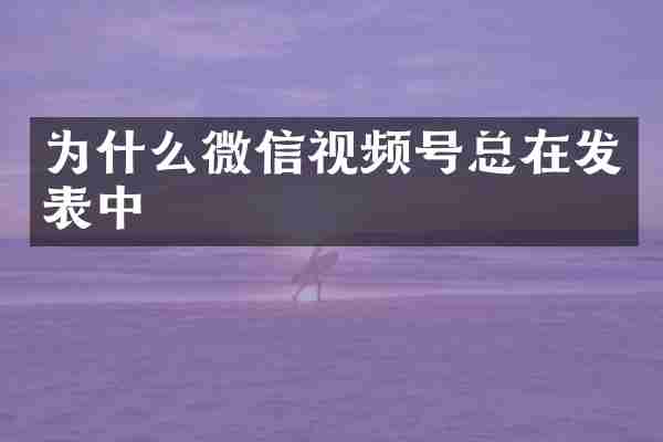 为什么微信视频号总在发表中