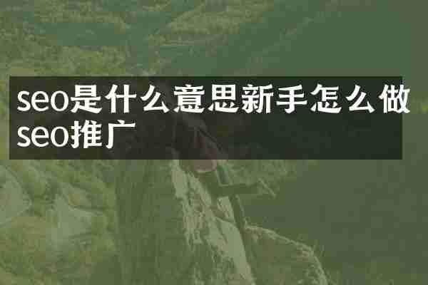 seo是什么意思新手怎么做seo推广