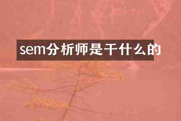 sem分析师是干什么的