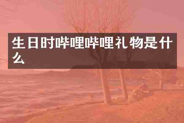 生日时哔哩哔哩礼物是什么