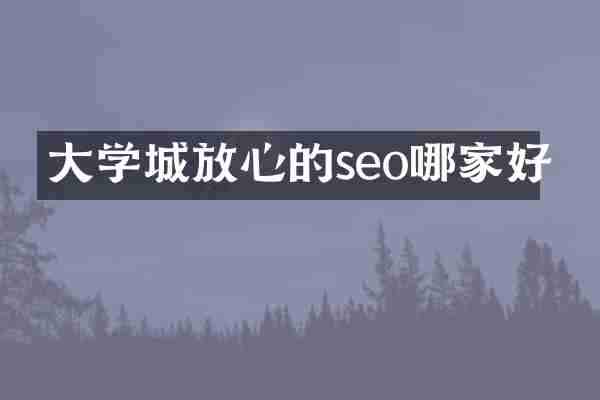 大学城放心的seo哪家好
