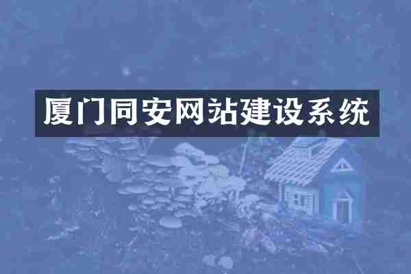 厦门同安网站建设系统