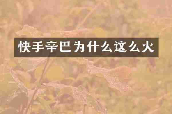 快手辛巴为什么这么火