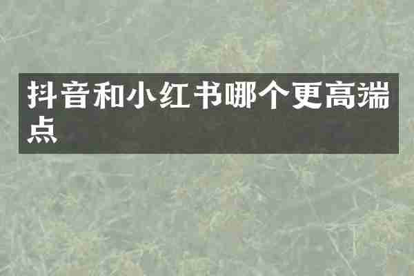 抖音和小红书哪个更高端点