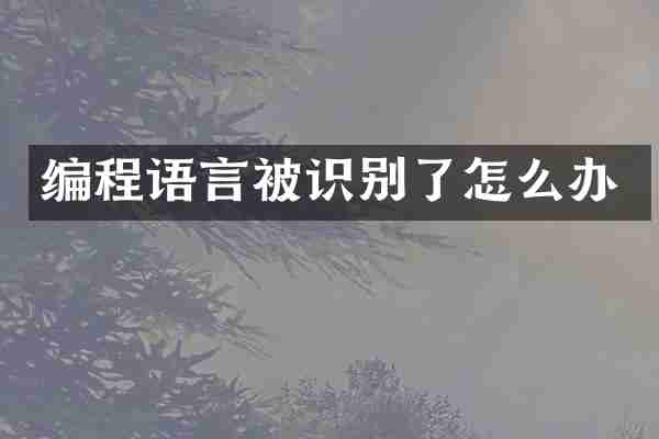 编程语言被识别了怎么办