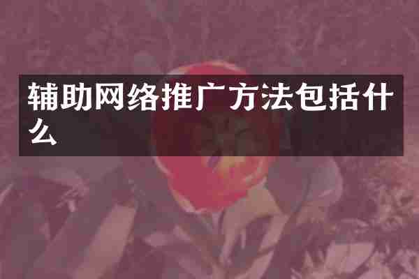 辅助网络推广方法包括什么