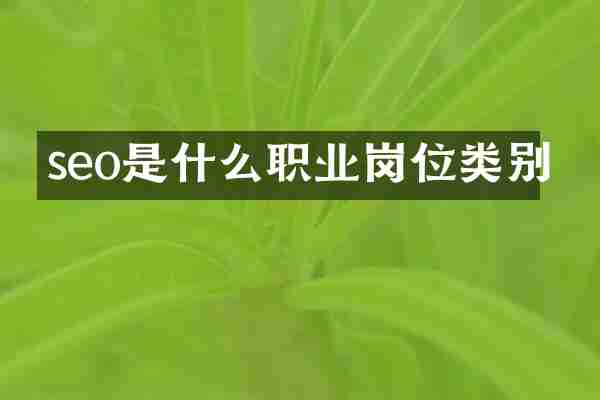 seo是什么职业岗位类别
