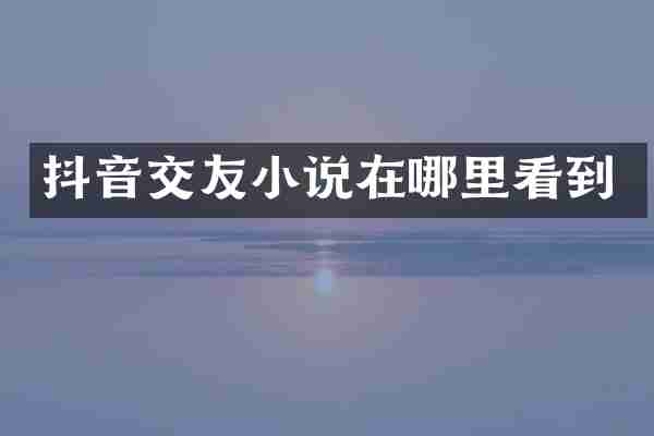 抖音交友小说在哪里看到