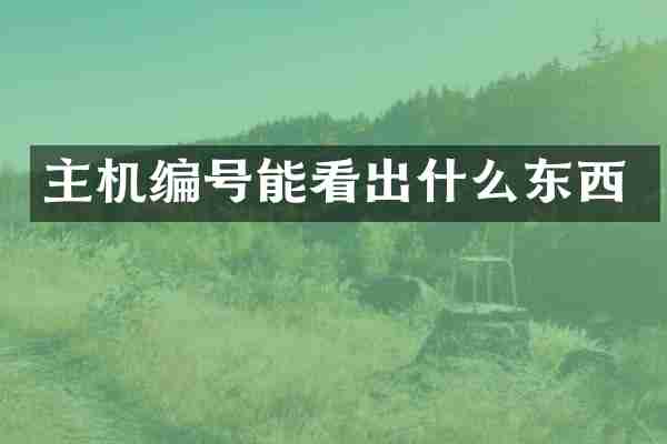 主机编号能看出什么东西