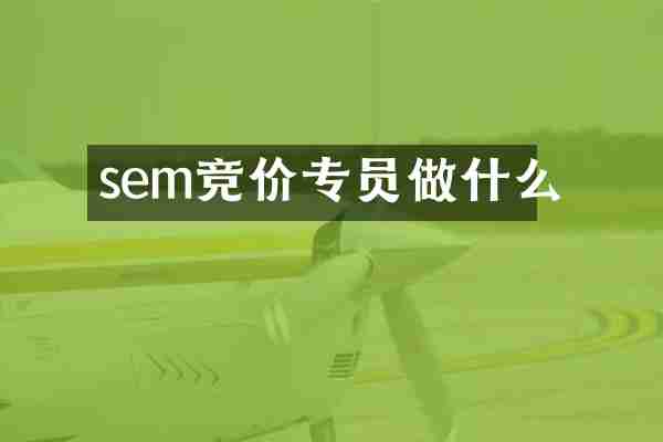 sem竞价专员做什么
