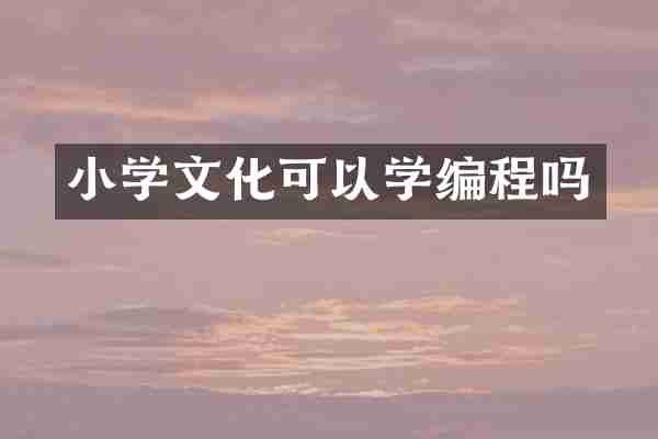 小学文化可以学编程吗