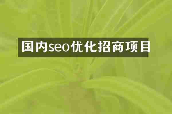 国内seo优化招商项目