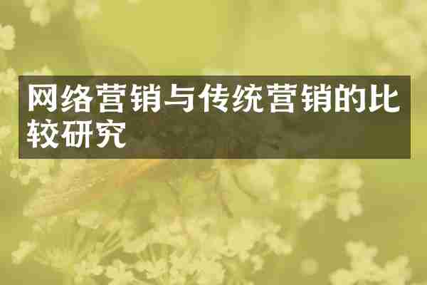 网络营销与传统营销的比较研究