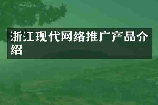 浙江现代网络推广产品介绍