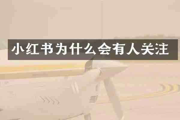 小红书为什么会有人关注