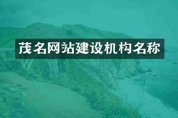 茂名网站建设机构名称