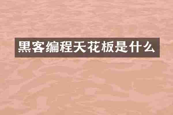 黑客编程天花板是什么