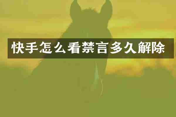 快手怎么看禁言多久解除